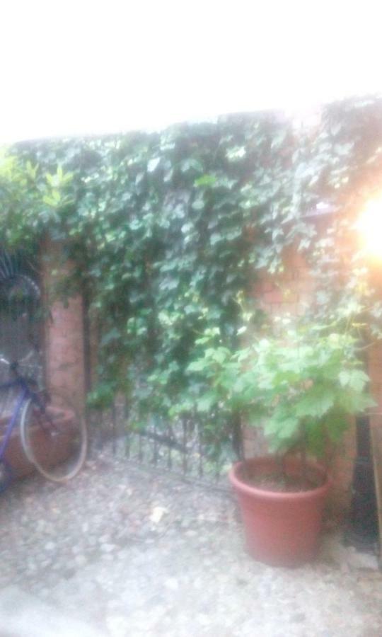 Central Apartment With Garden Milán Exterior foto